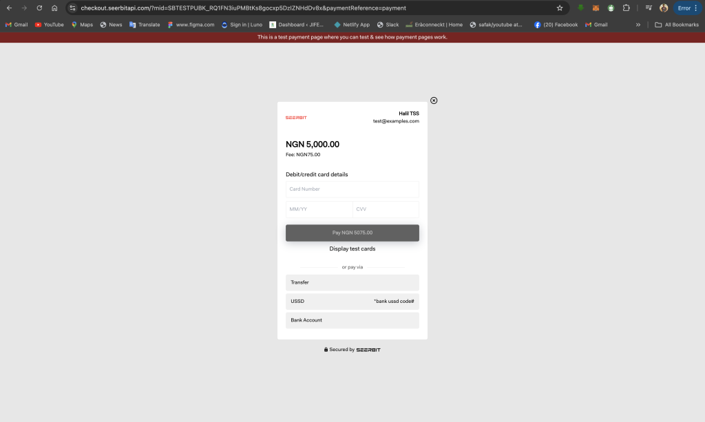 SEERBIT PAYMENT INITIALIZATION SCREENSHOT